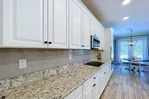 12093 Nouveau Ave, Spring Hill, FL 34610 - Photo 13