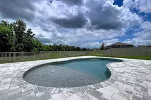12093 Nouveau Ave, Spring Hill, FL 34610 - Photo 3