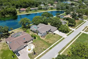 4293 River Birch Dr, Spring Hill, FL 34607 - Photo 79