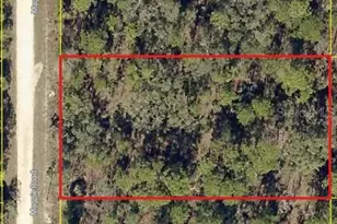 16026 Magpie Rd, Weeki Wachee, FL 34614 - Photo 1
