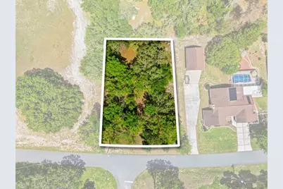 1228 Staten Avenue, Spring Hill, FL 34609 - Photo 1