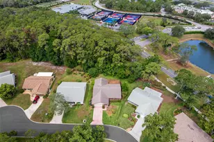 6300 Darien Way, Spring Hill, FL 34606 - Photo 45