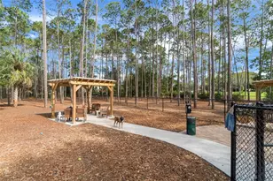 6300 Darien Way, Spring Hill, FL 34606 - Photo 83