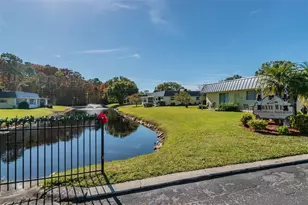 12200 Putter Green Ct, New Port Richey, FL 34654 - Photo 59