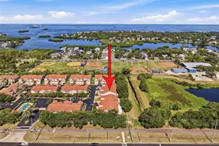 937 Canino Ct, Palm Harbor, FL 34683 - Photo 5
