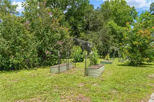 23439 Croom Rd, Brooksville, FL 34601 - Photo 45