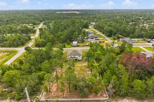 9025 Mazette Rd, Weeki Wachee, FL 34613 - Photo 95