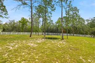 9025 Mazette Rd, Weeki Wachee, FL 34613 - Photo 91
