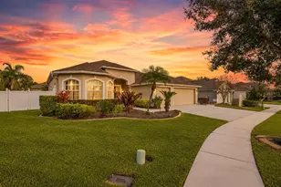 22623 Cliffside Way, Land O Lakes, FL 34639 - Photo 3