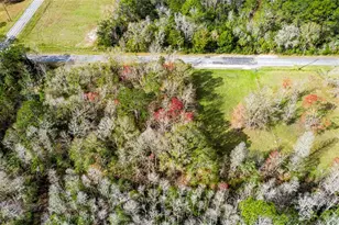 4925 S Morningside Terrace, Homosassa, FL 34446 - Photo 1