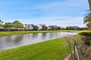 20823 Jaffa Ln, Land O Lakes, FL 34637 - Photo 21