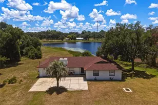 18208 State Rd 52, Land O Lakes, FL 34638 - Photo 5