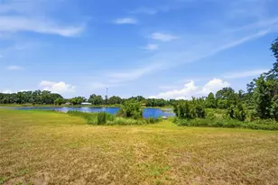 18208 State Rd 52, Land O Lakes, FL 34638 - Photo 39