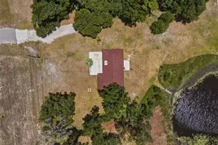 18208 State Rd 52, Land O Lakes, FL 34638 - Photo 11