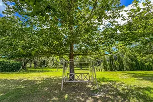5533 Tower Rd, Land O Lakes, FL 34638 - Photo 9
