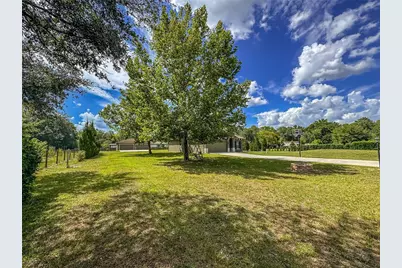 5533 Tower Road, Land O Lakes, FL 34638 - Photo 7
