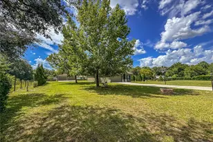 5533 Tower Rd, Land O Lakes, FL 34638 - Photo 7