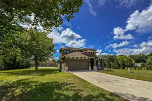 5533 Tower Rd, Land O Lakes, FL 34638 - Photo 11