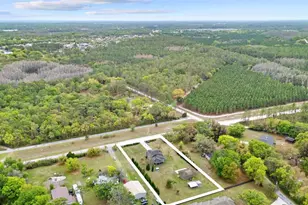 5533 Tower Rd, Land O Lakes, FL 34638 - Photo 57