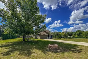 5533 Tower Rd, Land O Lakes, FL 34638 - Photo 3