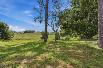 505 Bamboo Court, Tarpon Springs, FL 34689 - Photo 59