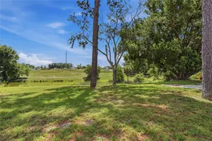 505 Bamboo Ct, Tarpon Springs, FL 34689 - Photo 67