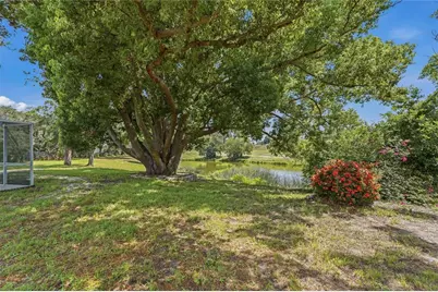505 Bamboo Court, Tarpon Springs, FL 34689 - Photo 63