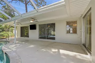 505 Bamboo Ct, Tarpon Springs, FL 34689 - Photo 61