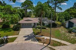 505 Bamboo Ct, Tarpon Springs, FL 34689 - Photo 77
