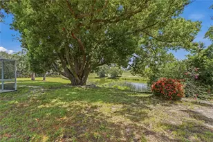 505 Bamboo Ct, Tarpon Springs, FL 34689 - Photo 71
