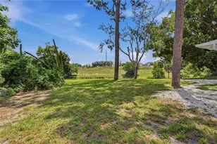 505 Bamboo Ct, Tarpon Springs, FL 34689 - Photo 75