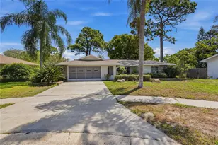 505 Bamboo Ct, Tarpon Springs, FL 34689 - Photo 81