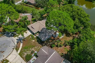 505 Bamboo Ct, Tarpon Springs, FL 34689 - Photo 83