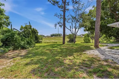 505 Bamboo Court, Tarpon Springs, FL 34689 - Photo 67