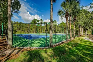 1629 Salmonberry St, Wesley Chapel, FL 33543 - Photo 63