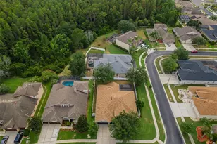 1629 Salmonberry St, Wesley Chapel, FL 33543 - Photo 15