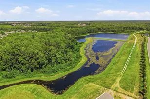 13631 Rangeland Blvd, Odessa, FL 33556 - Photo 83