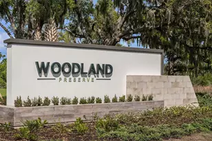 5032 Lowland Ter, Parrish, FL 34219 - Photo 27