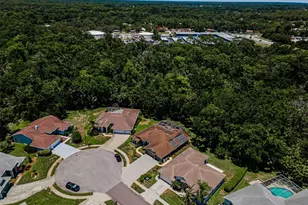 6646 Garden Palm Ct, New Port Richey, FL 34655 - Photo 3
