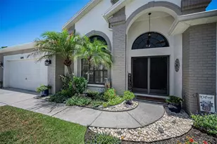 6646 Garden Palm Ct, New Port Richey, FL 34655 - Photo 11