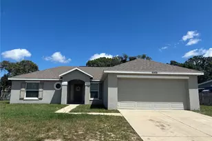 11413 Sand Hill Ave, Spring Hill, FL 34608 - Photo 3