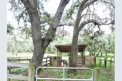 29248 Wildlife Lane, Brooksville, FL 34602 - Photo 7
