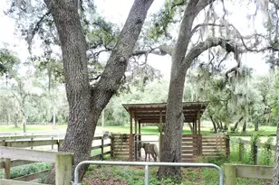 29248 Wildlife Ln, Brooksville, FL 34602 - Photo 7