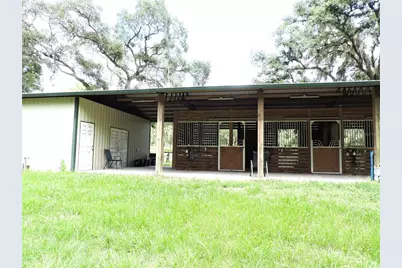 29248 Wildlife Lane, Brooksville, FL 34602 - Photo 5