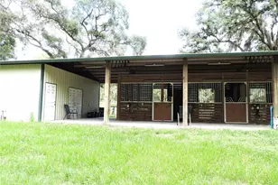 29248 Wildlife Ln, Brooksville, FL 34602 - Photo 5