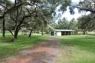 29248 Wildlife Ln, Brooksville, FL 34602 - Photo 3