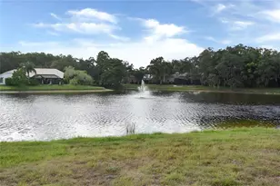4763 Brayton Terrace N, Palm Harbor, FL 34685 - Photo 39