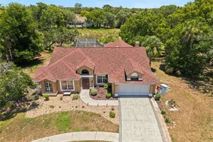 10296 Windsor Ct, Spring Hill, FL 34608 - Photo 67