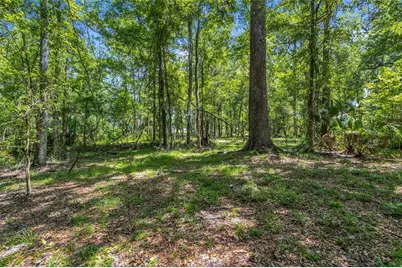 24050 Cortez Boulevard, Brooksville, FL 34601 - Photo 45