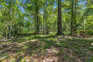 24050 Cortez Blvd, Brooksville, FL 34601 - Photo 45